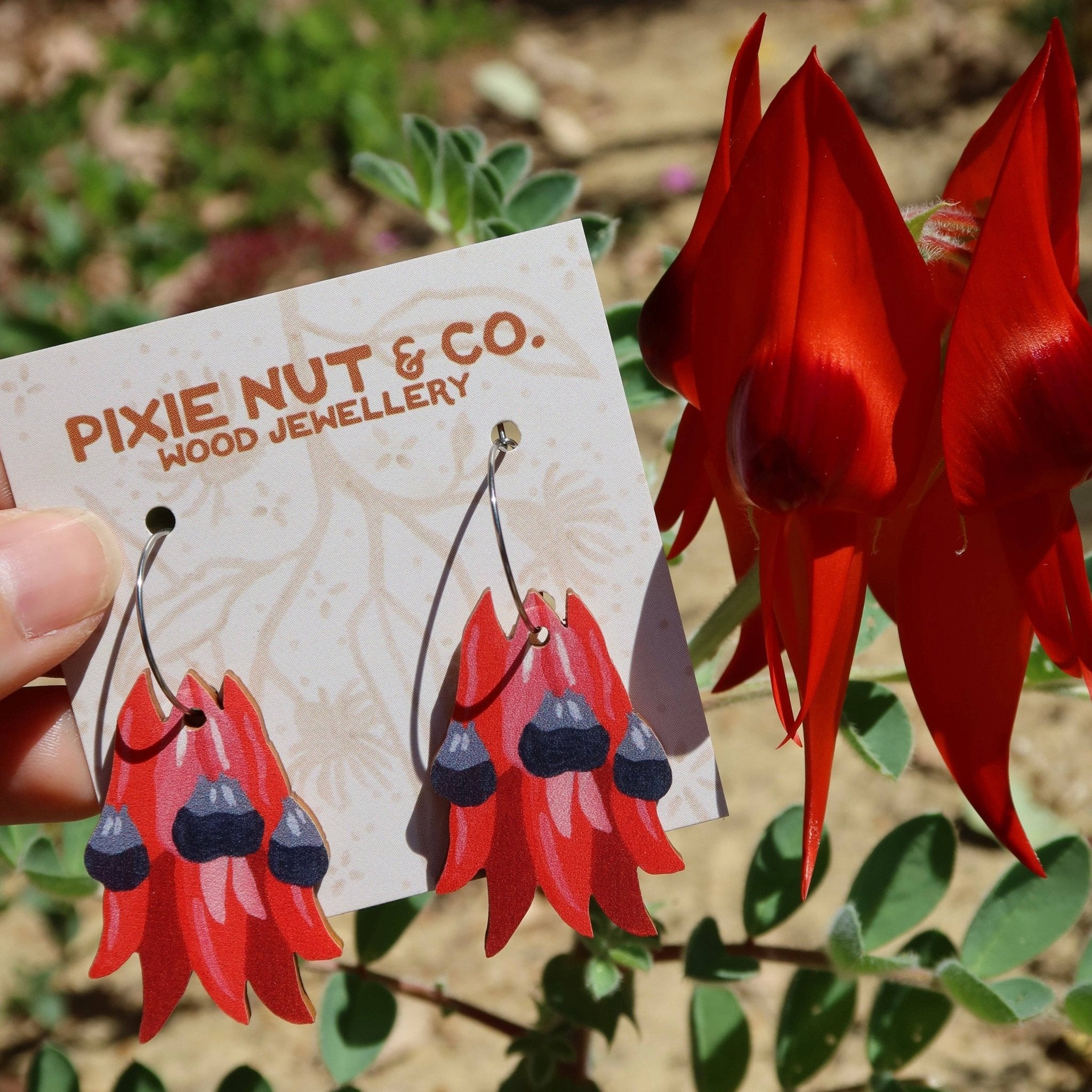 Sturt Pea Australian Wildflower Earrings - Land to Coast