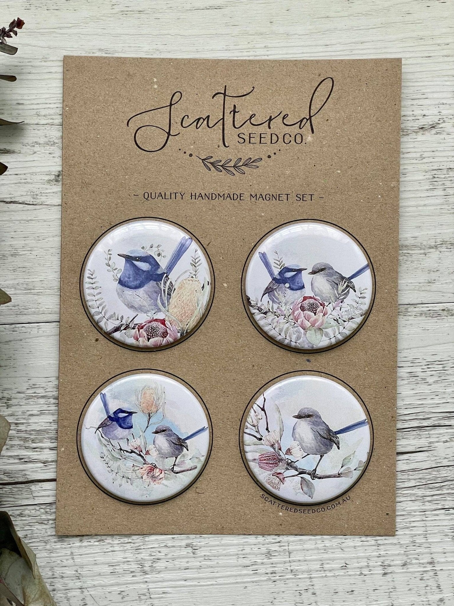 Superb Fairy Wren Large Magnets set of 4 - Land to Coast
