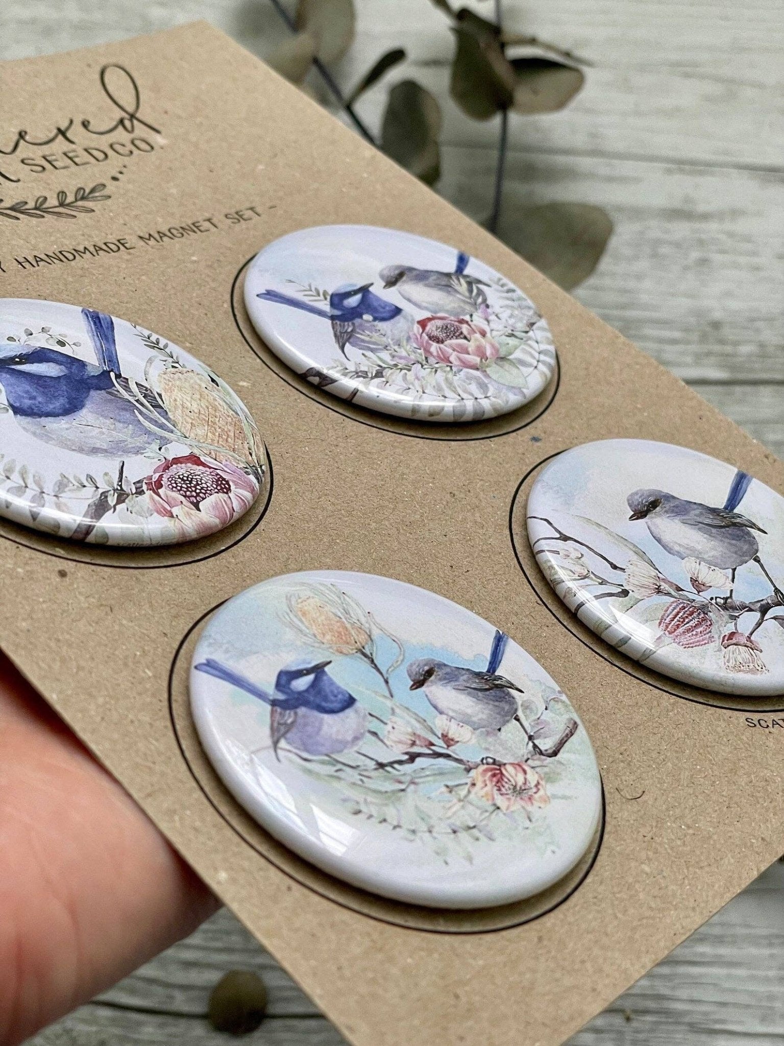 Superb Fairy Wren Large Magnets set of 4 - Land to Coast