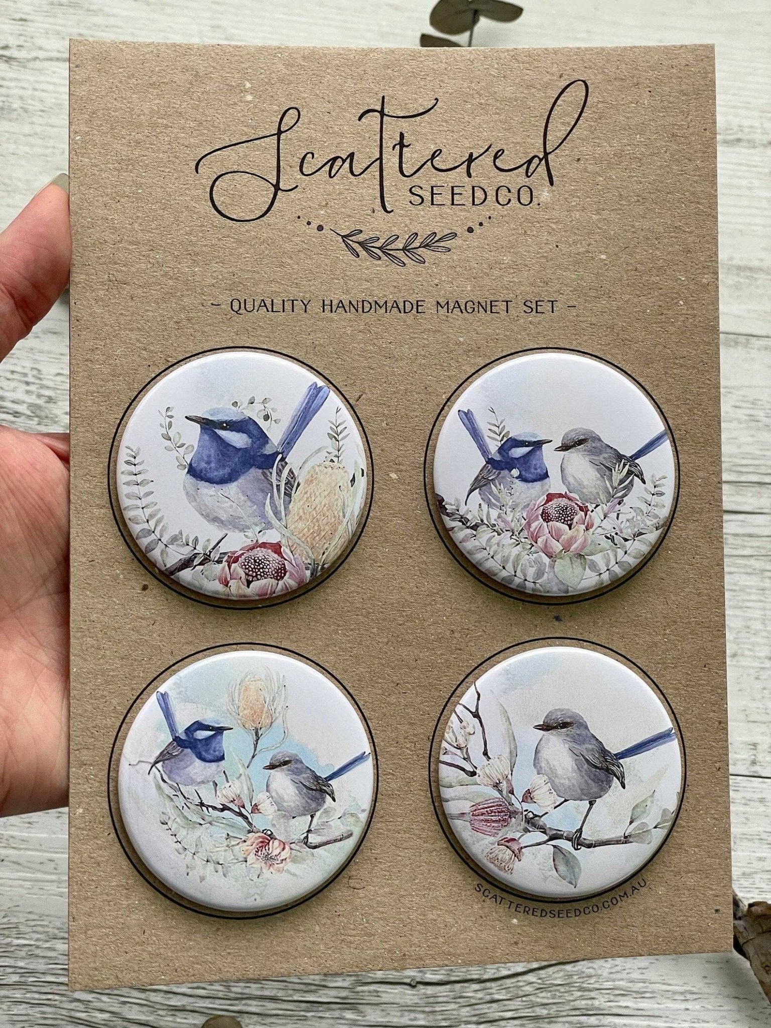 Superb Fairy Wren Large Magnets set of 4 - Land to Coast