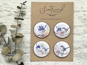 Superb Fairy Wren Large Magnets set of 4 - Land to Coast