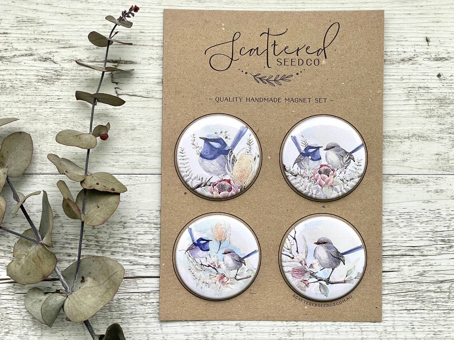 Superb Fairy Wren Large Magnets set of 4 - Land to Coast