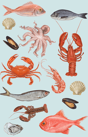 Tea Towel - Fisherman's Basket - Land to Coast