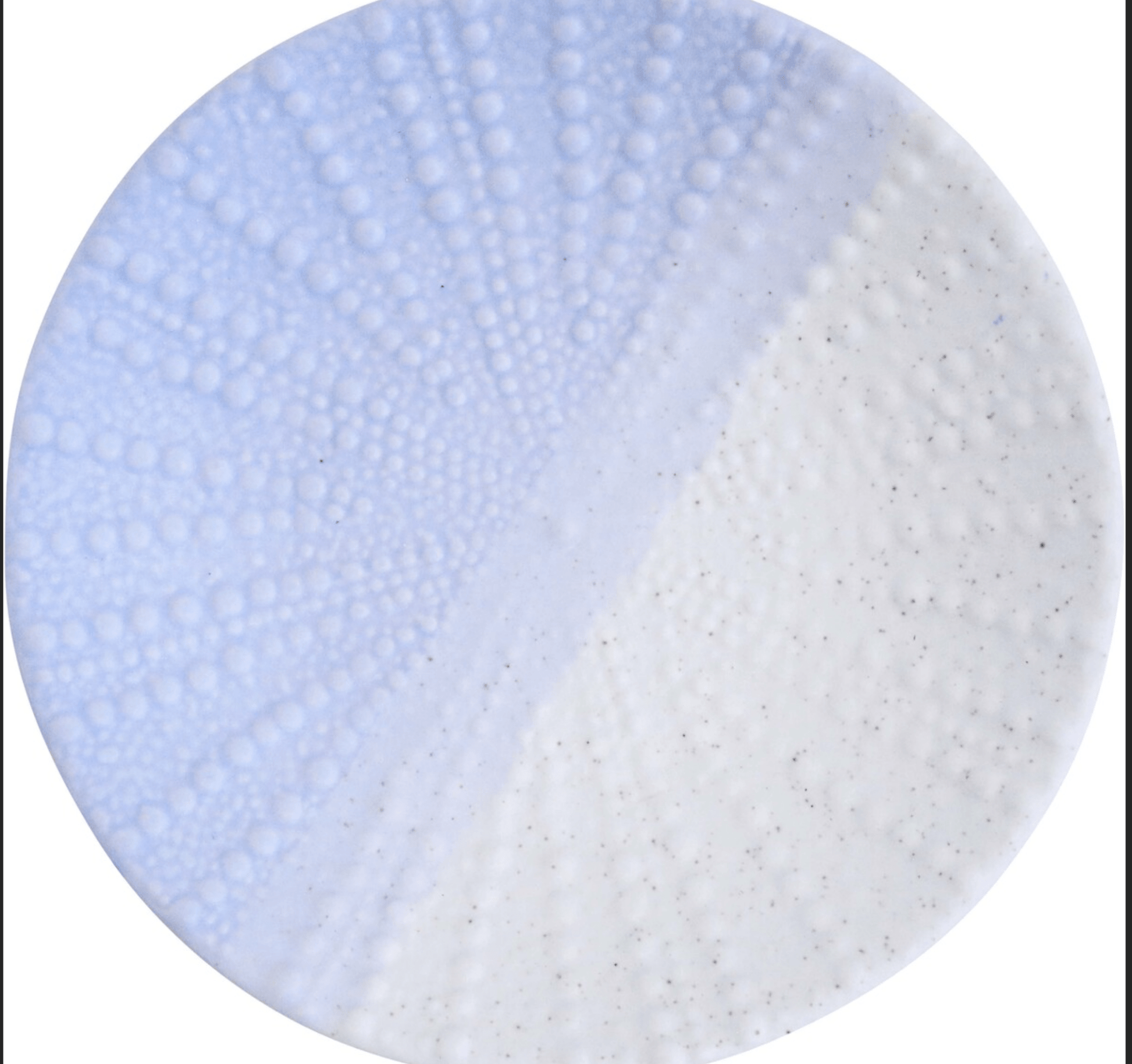 Urchin Plate Med Tidal - Land to Coast