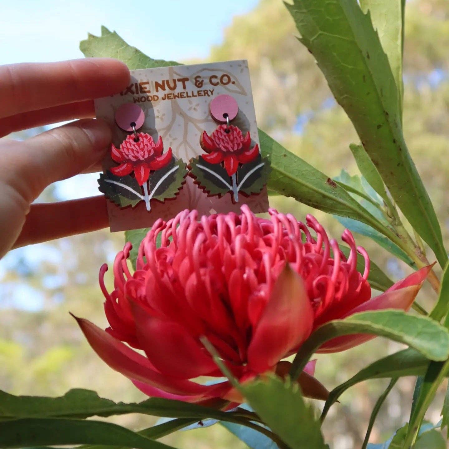 Waratah Australian Wildflower Earrings - Land to Coast